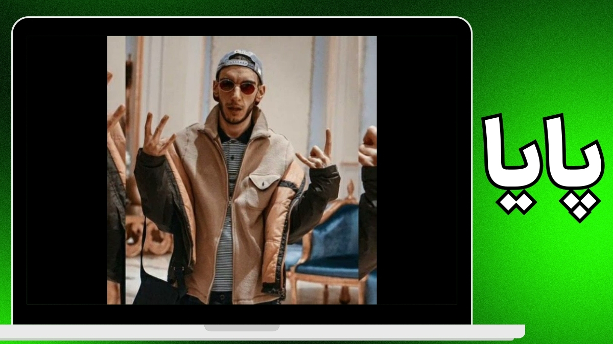 پایا پایدار