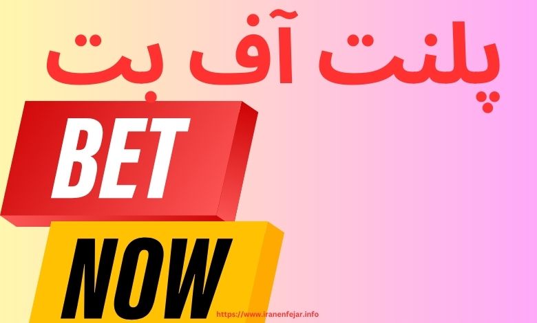 پلنت آف بت