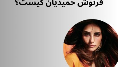 فرنوش حمیدیان کیست