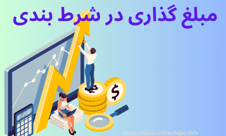 مبلغ گذاری در شرط بندی