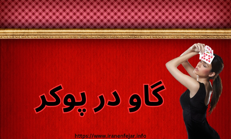 گاو در پوکر