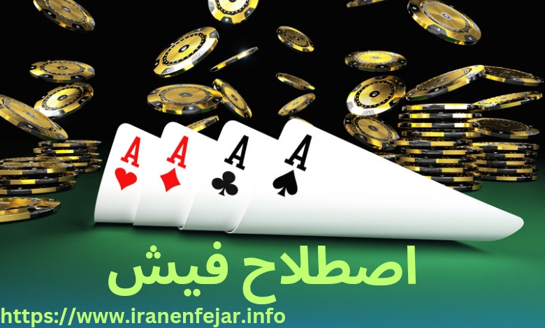 اصطلاح فیش