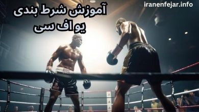 آموزش شرط بندی ufc