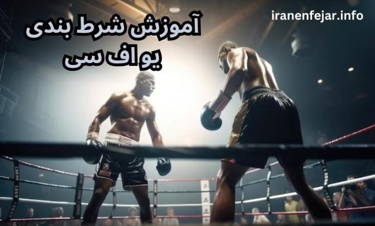 آموزش شرط بندی ufc