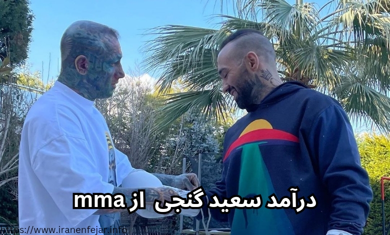 درآمد این فایتر از mma چقدر است؟